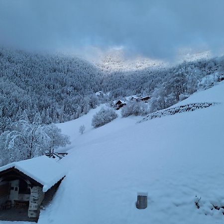 Gruberhof A Quiet Place Gereuth Brixen Zewnętrze zdjęcie